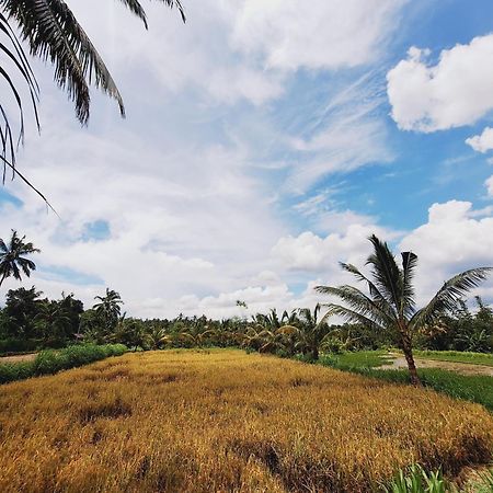Bunga Maliq Bungalow Lombok تيتيباتو المظهر الخارجي الصورة