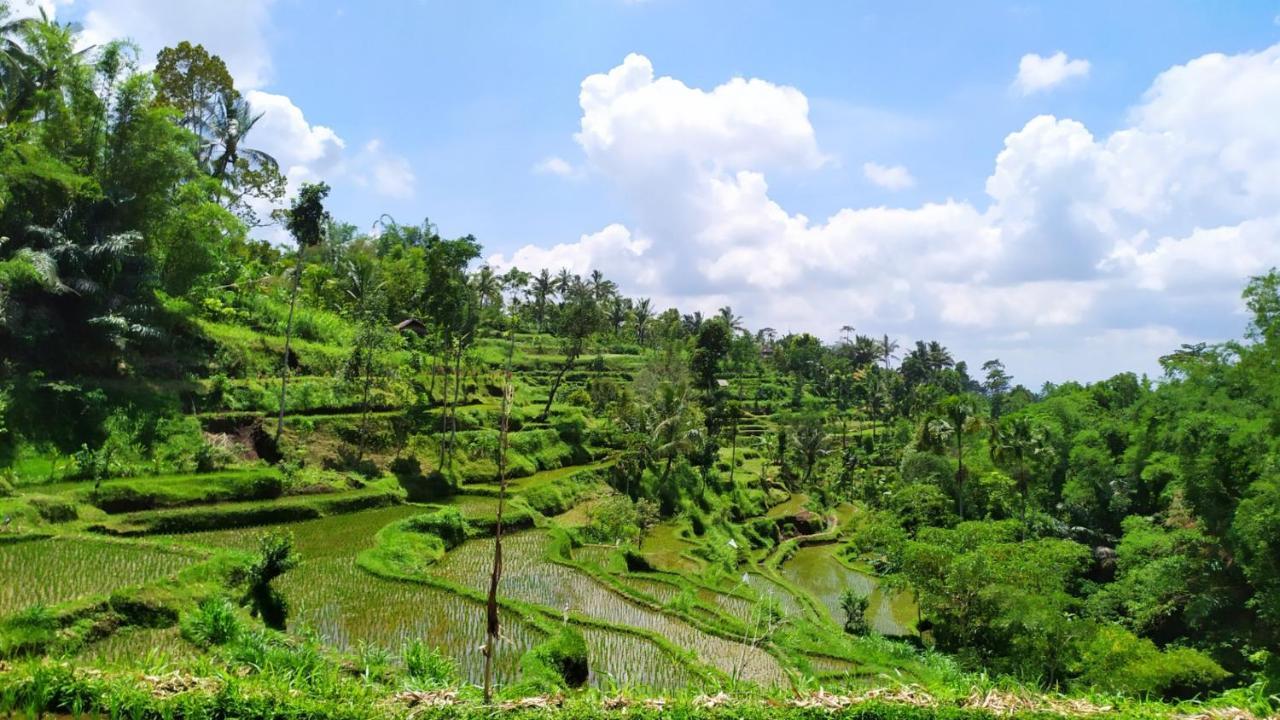 Bunga Maliq Bungalow Lombok تيتيباتو المظهر الخارجي الصورة