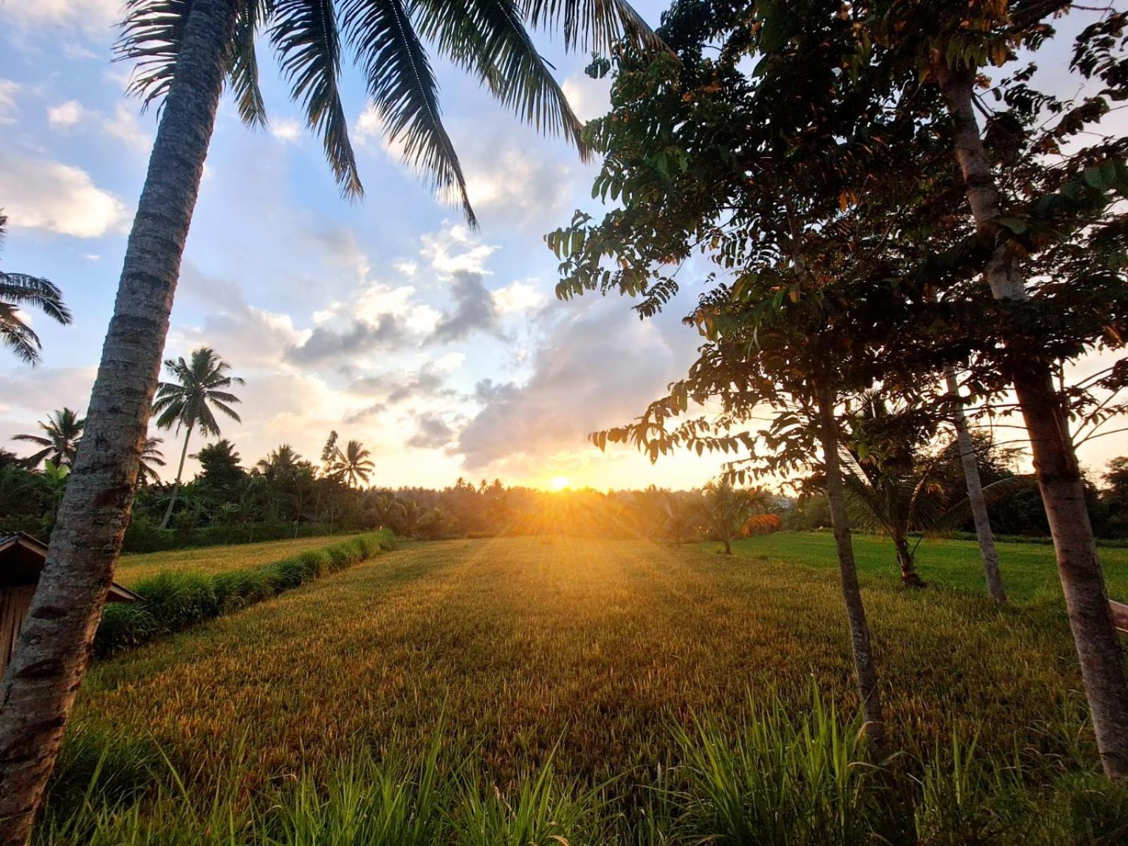 Bunga Maliq Bungalow Lombok تيتيباتو المظهر الخارجي الصورة