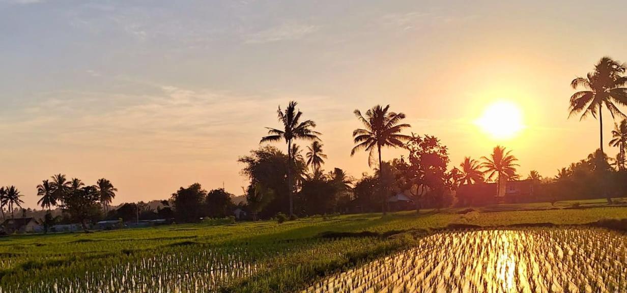 Bunga Maliq Bungalow Lombok تيتيباتو المظهر الخارجي الصورة