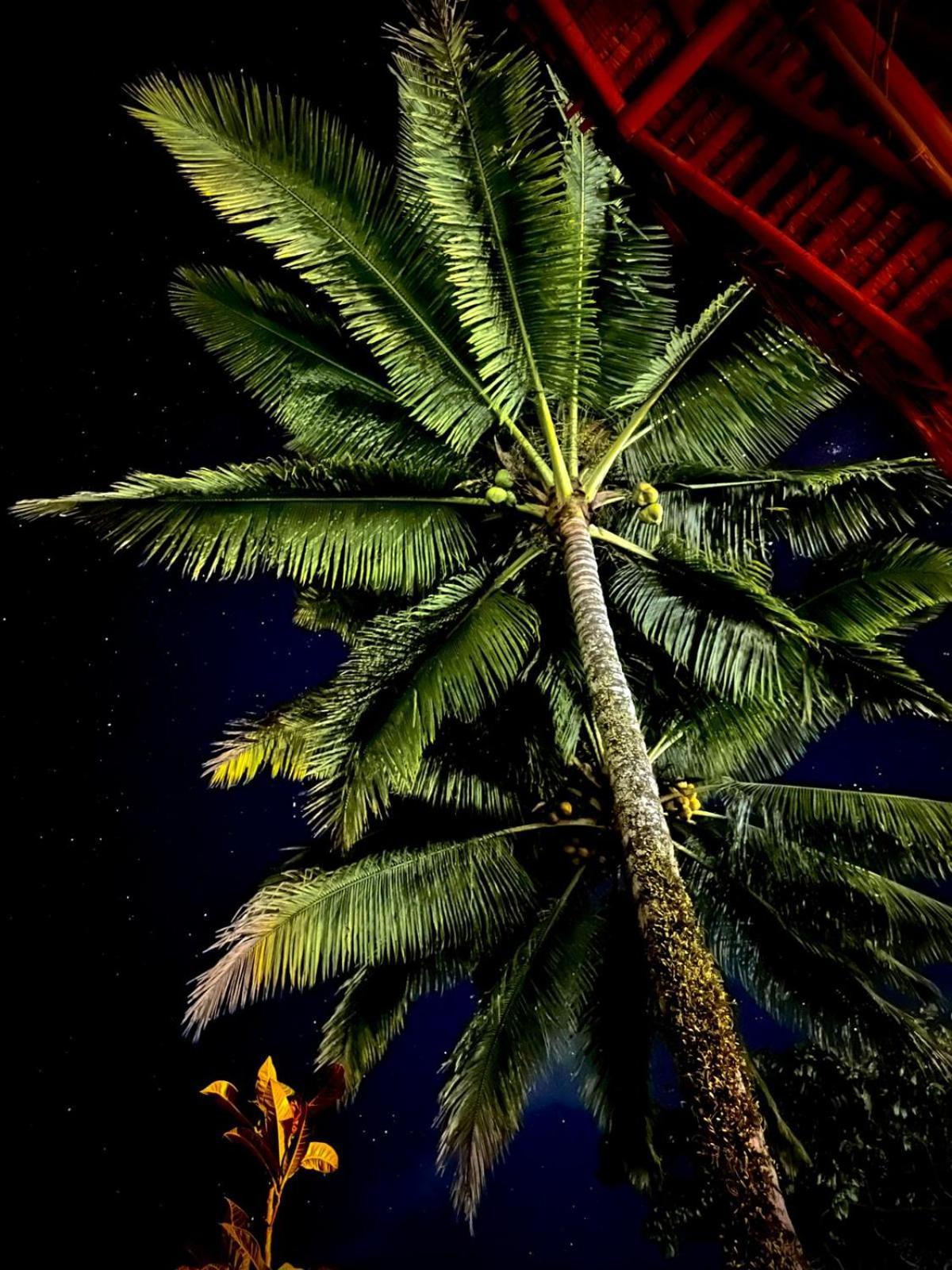 Bunga Maliq Bungalow Lombok تيتيباتو المظهر الخارجي الصورة