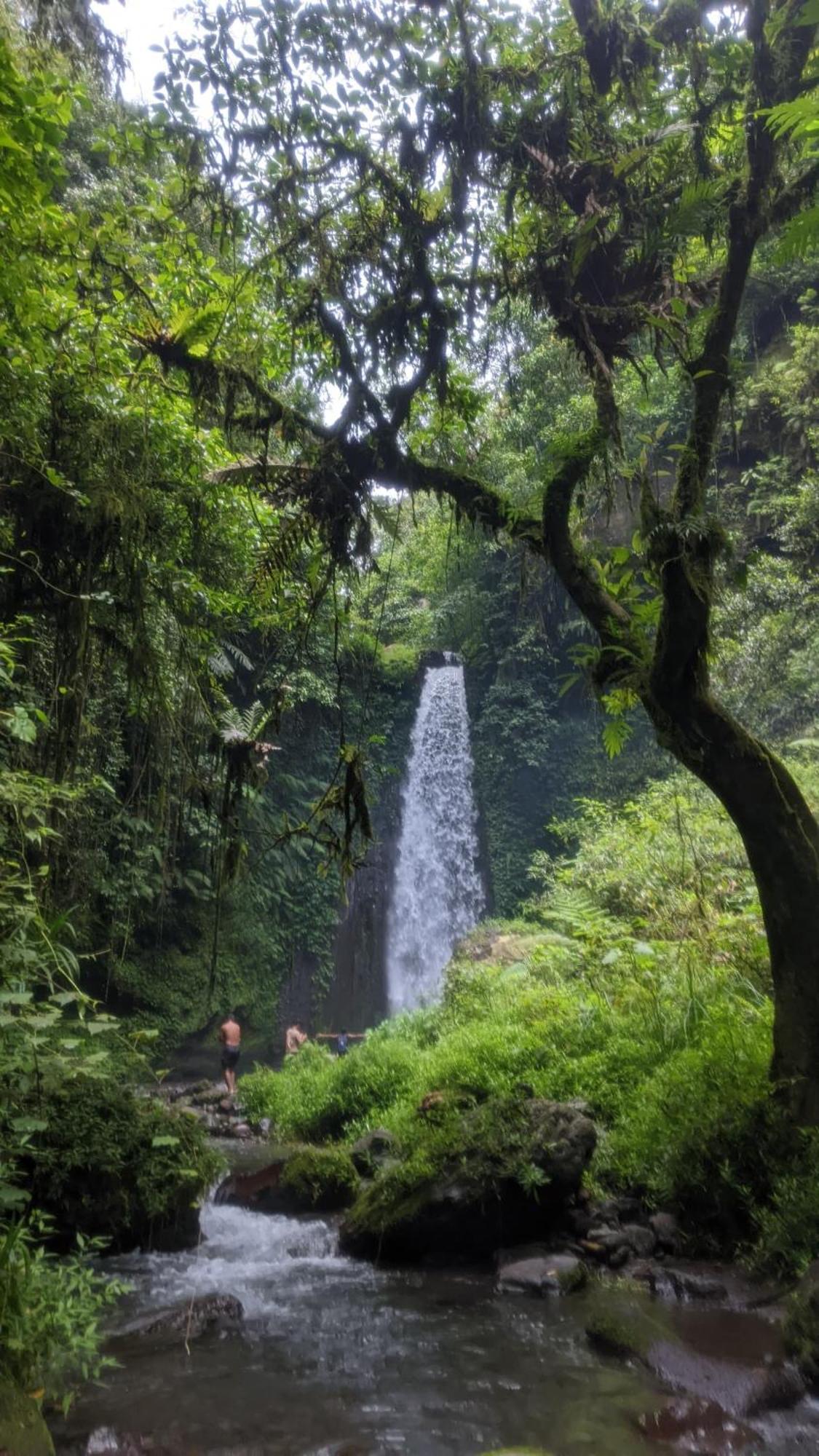 Bunga Maliq Bungalow Lombok تيتيباتو المظهر الخارجي الصورة