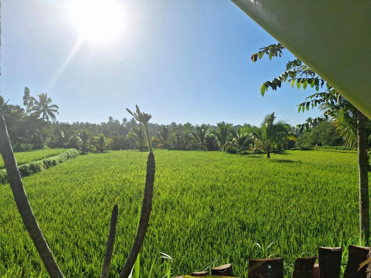 Bunga Maliq Bungalow Lombok تيتيباتو الغرفة الصورة