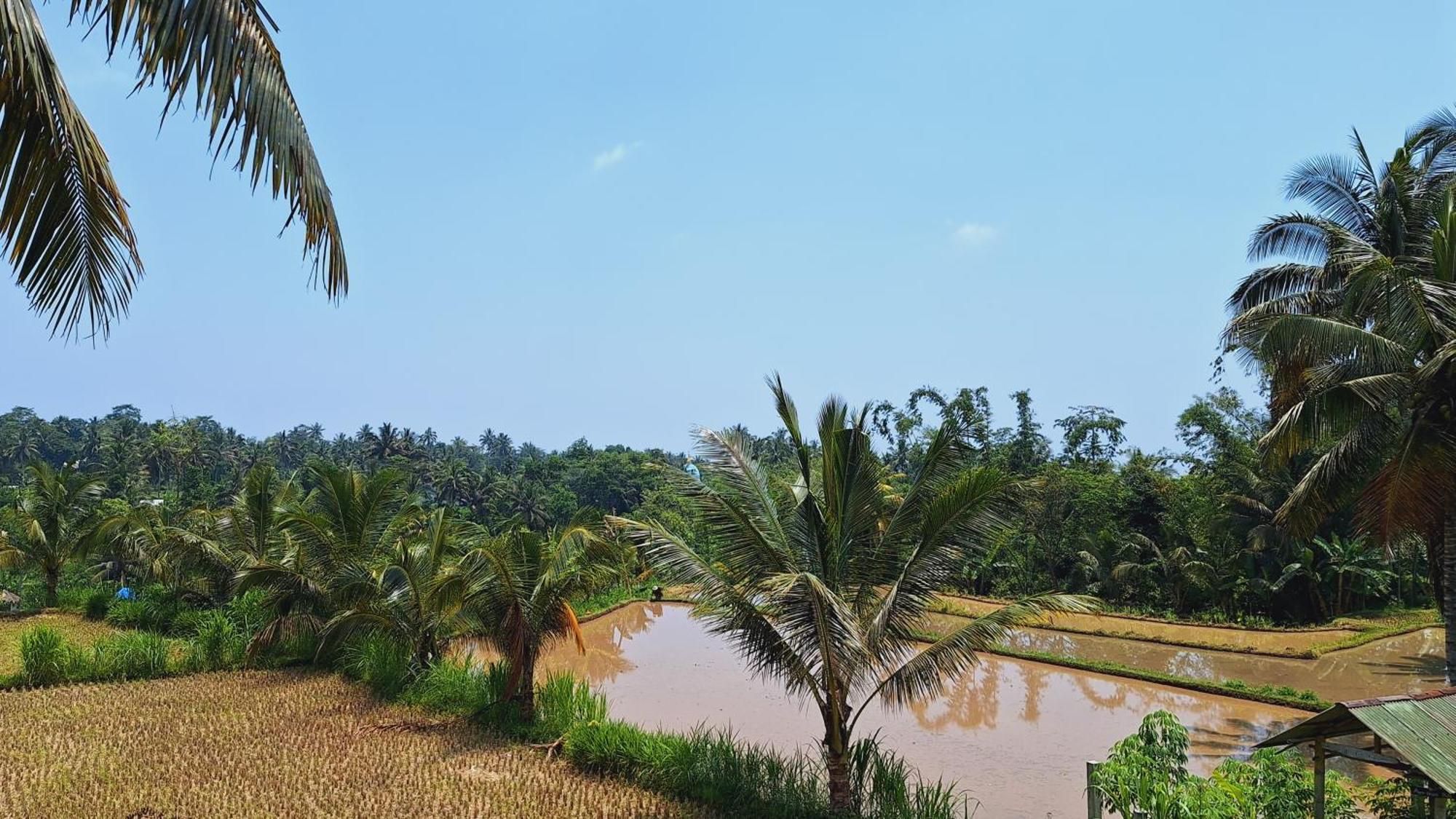 Bunga Maliq Bungalow Lombok تيتيباتو المظهر الخارجي الصورة