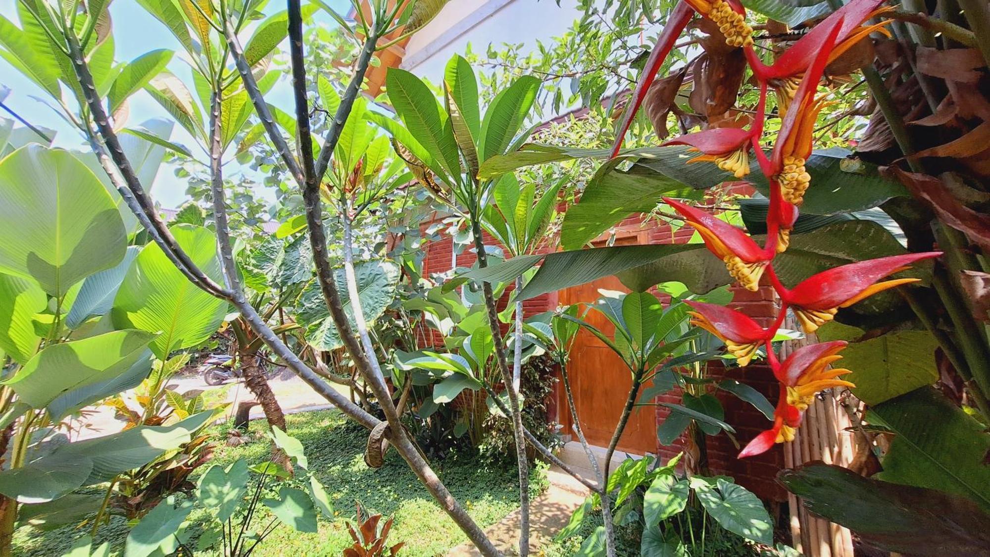 Bunga Maliq Bungalow Lombok تيتيباتو الغرفة الصورة