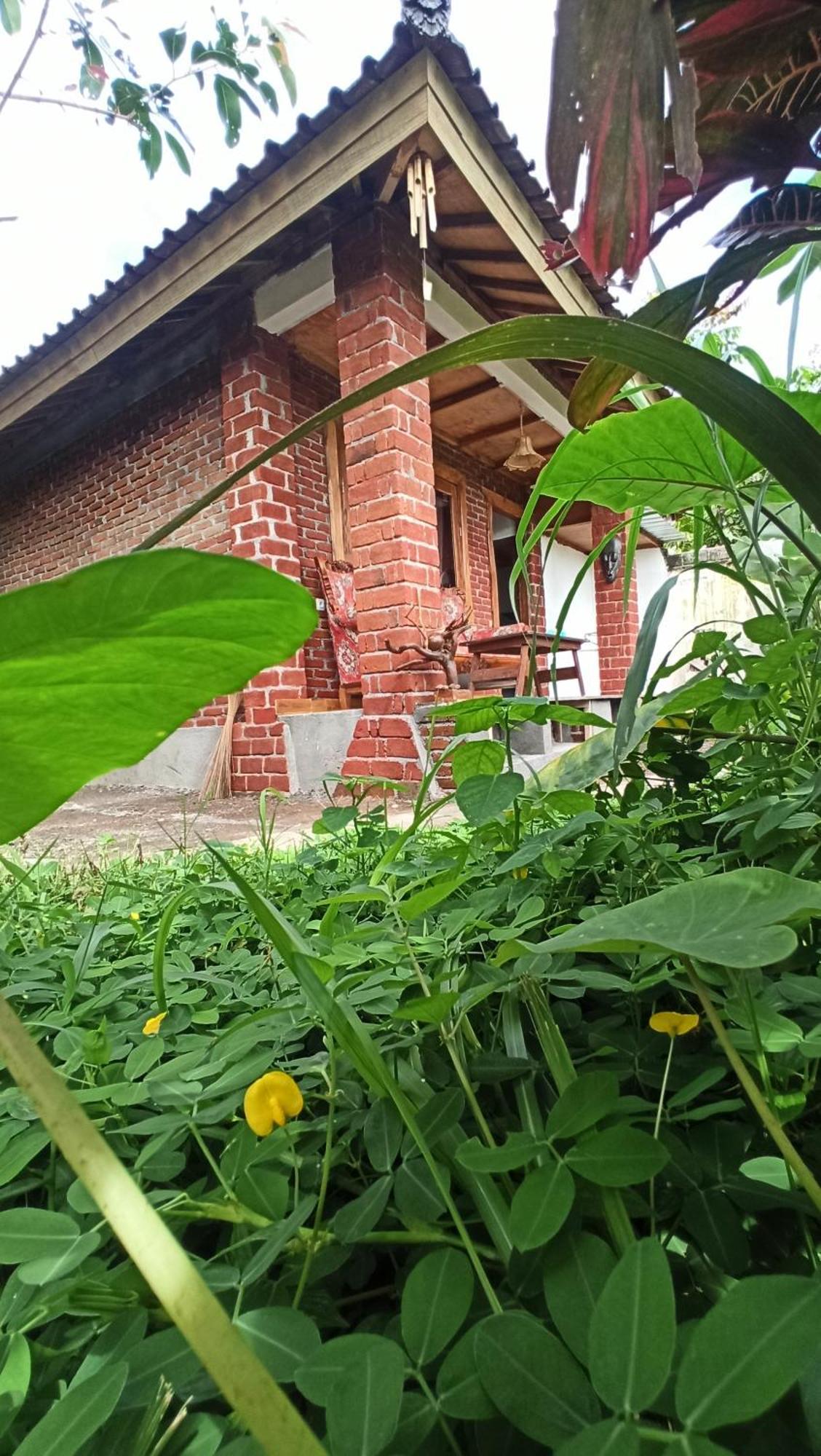Bunga Maliq Bungalow Lombok تيتيباتو المظهر الخارجي الصورة